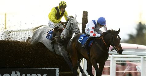 2022 Gold Cup Odds, Entries and Runners .